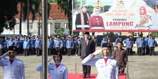 Tahun Ini, Tenaga Honorer Pemkab Lampung Selatan Terima THR