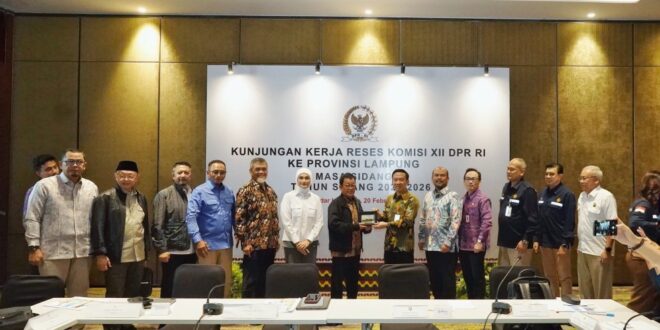 Pemprov Lampung Bersama Komisi XII DPR RI Bahas Pemanfaatan Energi di Provinsi Lampung